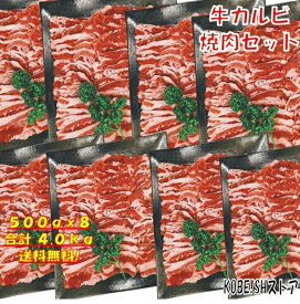 焼き肉 バーベキュー 食材 4kg BBQ 肉 焼肉セット 牛カルビ 牛バラ バーベキュー 肉 バーベキューセット 食材 BBQ食材セット BBQ 焼肉 牛丼 牛肉 快気祝 花見 送料無料 12〜15人前