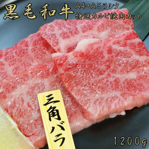 јa A4 A5 N IēJr 1200g a   ē Ă   O  Jr Opo  hV̓  Mtg NX}X  Mtg nEB  M