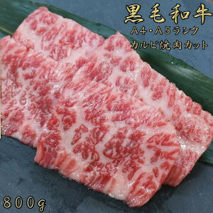 јa A4 A5 N Jrē 800g a   ē Ă   O  Jr go  hV̓  Mtg NX}X  Mtg nEB  Mtg 