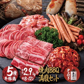 焼肉セット 【復活 焼肉タレ付】 バーベキュー 肉 焼き肉 バーベキュー 食材 BBQ 肉 焼き肉セット タン 牛カルビ 牛バラ 牛ハラミ 鶏もも肉 焼肉 牛肉 バーベキューセット 肉 ウインナー ソーセージ BBQ 鶏肉 豚肉 2.9kg 送料無料 8〜12人前