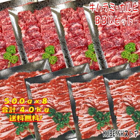 楽天市場 バーベキュー 肉の通販