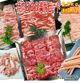 焼肉セット バーベキュー 肉 焼き肉 バーベキュー 食材 2.9kg BBQ 肉 牛カルビ 牛バラ 牛ハラミ 豚カルビ 豚バラ 鶏もも肉 バーベキュー 肉 豚トロ ウインナー ソーセージ 肉 ホームパーティー 焼肉 豚肉 鶏肉 牛肉 送料無料 8〜12人前