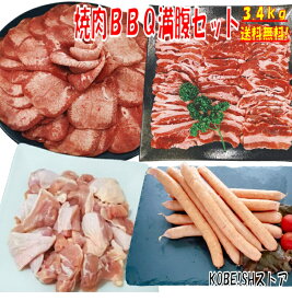 牛タン 塩タン 薄切り 3.4kg 焼き肉 バーベキュー 食材 BBQ 肉 焼肉セット 牛カルビ 牛バラ 鶏もも肉 バーベキュー肉 ウインナー ソーセージ BBQ食材セット 焼肉 豚肉 鶏肉 牛肉 送料無料 8〜12人前