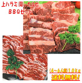 バーベキューセット 焼き肉 1kg バーベキュー 食材 BBQ 肉 焼肉セット 牛バラ 牛カルビ アメリカ カナダ 牛ハラミ 上ハラミ 肉 BBQ食材セット BBQ 食材 焼肉 牛丼 牛肉 送料無料 4〜6人前