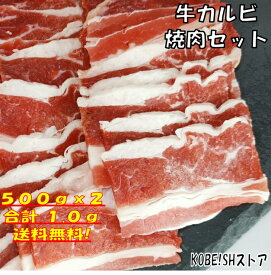 焼き肉 バーベキュー 食材 1kg BBQ 肉 焼肉セット 牛カルビ 牛バラ バーベキュー 肉 バーベキューセット 食材 BBQ食材セット BBQ 食材 焼肉 牛丼 牛肉 送料無料 4〜6人前