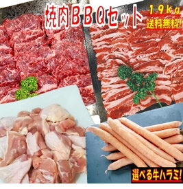 焼き肉 バーベキュー 食材 1.9kg BBQ 肉 焼肉セット 牛カルビ 牛バラ 牛ハラミ 鶏もも肉 バーベキュー肉 焼肉 ウインナー ソーセージ 豚肉 鶏肉 牛肉 送料無料 6〜8人前