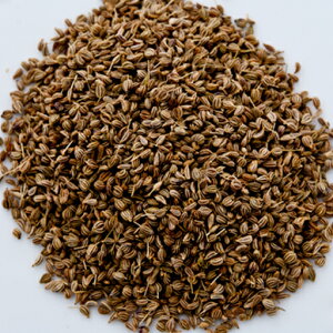 AWV[h 50g ,_˃XpCX,Ajwain Seeds,^,AW,V[h,Ch,XyC,,C^A,XpCX,n[u,,Ɩp,_˃XpCX,y䂤pPbg֑z