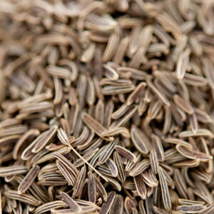 LEFCV[h 5kg ,Ɩp,_˃XpCX,Caraway Seeds,^,LEFC,V[h,P䠍,Ch,XyC,,C^A,XpCX,n[u,,