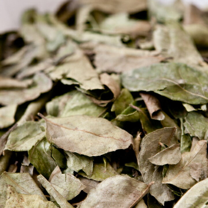 楽天市場 カレーリーフ 100g 葉 Curry Leaf オオバゲッキツ 南洋山椒 大葉月橘 Murraya Koenigii カレーリーフ ドライ Curry Patta カリーパッタ 南インド スパイス ハーブ 送料無料 神戸スパイス