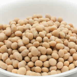 哤 10kg (1kg×10),Ɩp,_˃XpCX,哤,\r[,},r[Y,_CY,Soybean,ߕ,_CY,Glycine maz