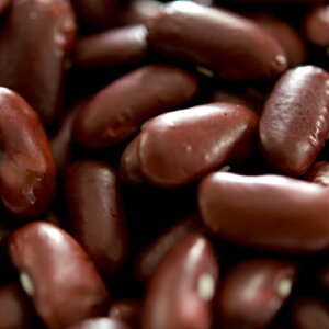 bhLhj[r[Y 1kg / 1000g 퉷֑ Red Kidney Bean  ԃCQ  `RJ LVR _˃XpCX MT
