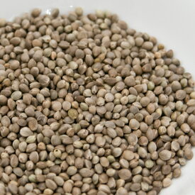 麻の実 1kg Hemp Seed 送料無料