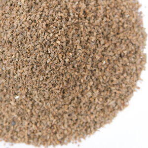 ZV[h 100g,Celery Seed,I_~co,XpCX,n[u,,Ɩp,_˃XpCX,y䂤pPbg֑z