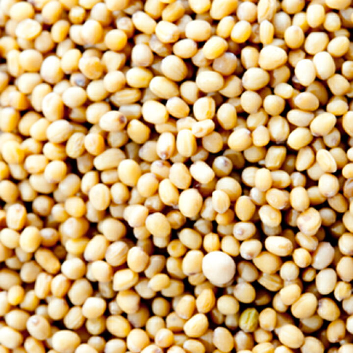 楽天市場】イエローマスタードシード インド産 250g,Yellow Mustard Seeds,原型,マスタードシード,マスタード,シード,芥子,からし,スパイス,ハーブ,調味料,業務用,神戸スパイス,ss【ゆうパケット送料無料】 : 神戸スパイス 楽天市場】イエローマスタードシード インド産 250g,Yellow Mustard Seeds,原型,マスタードシード,マスタード,シード,芥子,からし,スパイス,ハーブ,調味料,業務用,神戸スパイス,ss【ゆうパケット送料無料】 : 神戸スパイス