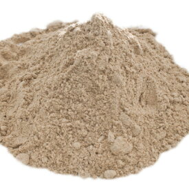 マンゴーパウダー 100g メール便送料無料 Mango Powder