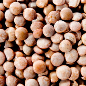 Y t 10kg (1kg×10),Ɩp,_˃XpCX,,q},eB,}X[_[,}bX_[,Sabut Masoor ,Masoor Dal Whole,tYz