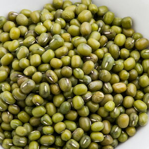O t 1kg 퉷֑ Moong Dal Green  J[ X[v Γ O_[ _˃XpCX MT