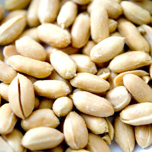 o^[s[ibc 100g,Butter Peanut,싞,ibc,Ԑ,L~yv1~ȏőz
