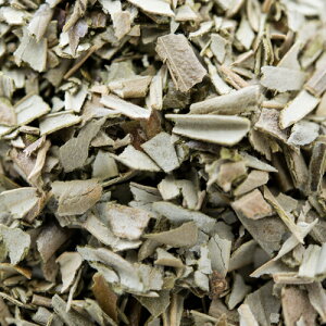 I[u[t 500g yOlive Leaf,I[u,hC,n[u,Ch,XyC,,C^A,XpCX,n[ueB[,Herb,Spice,VOn[uyv1~ȏőz