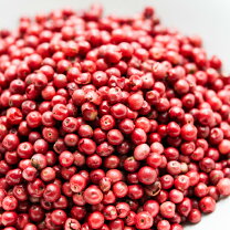 楽天市場】PINK PEPPER（調味料｜食品）の通販