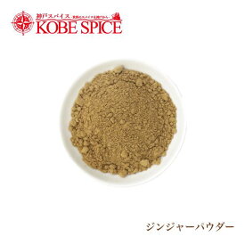 【楽天1位】 ジンジャーパウダー インド産 250g Ginger Powder メール便送料無料