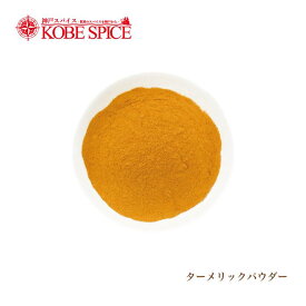 ターメリックパウダー 1kg Turmeric Powder ウコン 送料無料