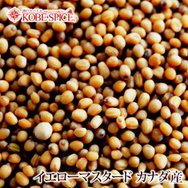 イエローマスタードシード カナダ産 1kg / 1000g 常温便送料無料 Yellow Mustard Seeds Canada 原型 芥子 からし スパイス 調味料 神戸スパイス MT