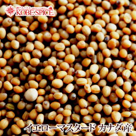 イエローマスタードシード カナダ産 10kg,業務用,神戸スパイス,Yellow Mustard Seeds Canada,原型,マスタード,シード,芥子,からし,インド,スペイン,中華,イタリア,スパイス,ハーブ,調味料,