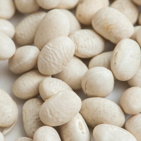 白いんげん豆 ホワイトキドニービーンズ 5kg (1kg×5袋) White Kidney Beans,業務用,神戸スパイス,スープ,卸,材料,餡子,キドニー,豆,白金時豆,Soybean,神戸スパイス 【送料無料】