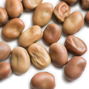 瓤   1kg/1000g y\},Faba Beans,Ɩp,_˃XpCX,X[v,,ޗ,hC,Soybean,_˃XpCX ,MT