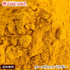 【10%OFF】ターメリックパウダー 500g,うこん,Turmeric Powder,粉末,ターメリック,ウコン,ウコンパウダー,スパイス,ハーブ,調味料,業務用,神戸スパイス,仕入,主治医の見つかる診療所,クルクミン, 認知症,予防【ゆうパケット送料無料】