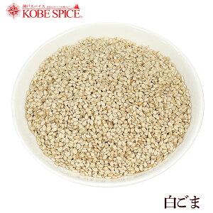 S} ނ  1kg /1000g 퉷֑ White Sesame Seed  ZT~  _˃XpCX
