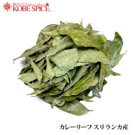 【楽天1位】 カレーリーフスリランカ産 100g Curry Leaf 送料無料