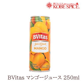 Bvitas マンゴージュース 250ml×3本 常温便 飲料 ジュース 業務用 仕入れ 卸 通販 販売 神戸スパイス 送料無料