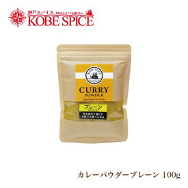 プレーンカレーパウダー 無塩 辛さ0 100g オリジナルカレー粉　メール便送料無料
