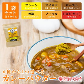 6種類から選べるカレーパウダー 100g (ホットorローストor無塩orマイルドorノーマルorプレーン) オリジナルカレー粉　メール便送料無料