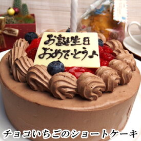 【ポイント10倍】【チョコ＆いちごショートケーキ】バースデーケーキ 誕生日ケーキ ケーキ メッセージプレート 神戸スイーツ 2024 送料無料 男の子 女の子 春スイーツ 5号 ギフト プレゼント 高級 キャンドル フルーツケーキ お菓子 子供 父の日 ひな祭り お中元