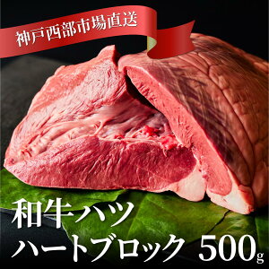 [јa] z@n[gubN ( S ) 500gO