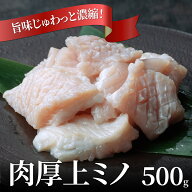 【 当店 人気 商品 】上ミノ 500g　塩焼き　タレ焼き　ホルモン 焼き　焼肉　肉厚