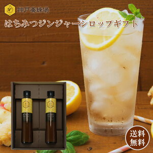 【ギフト箱入り】高知県産生姜×はちみつジンジャーシロップ2本セット 240g×2|辛口 無添加 温活 お中元 お歳暮 敬老の日 送料無料