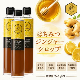 ジンジャーシロップ 3本 生姜 はちみつ 国産生姜使用 辛口 蜂蜜 ハチミツ レモン しょうが 生姜湯 温活 無添加 無糖 無着色 効果 効能 冷え 対策 ショウガオール 国産 セット 240g 生姜 ホット ドリンク しょうがシロップ ショウガ