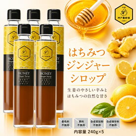 ジンジャーシロップ 5本 生姜 はちみつ 国産生姜使用 辛口 蜂蜜 ハチミツ レモン しょうが 生姜湯 温活 無添加 無糖 無着色 効果 効能 冷え 対策 ショウガオール 国産 セット 240g 生姜 ホット ドリンク しょうがシロップ ショウガ