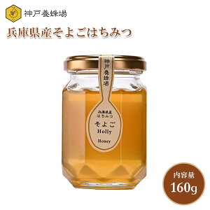 Y ݂͂ I n`~c 悲 \S ʌ\ M Y  { r 160g  
