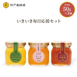 Zbg I n`~c ʌ\ ݂͂   e ~j XyC 3{Zbg