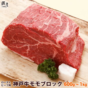 _ˋ [Xgr[tp  ubNi①jyzMtg v[g j Ԃ j a j oYj j oYj   O