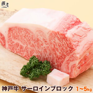 _ˋ T[C ubNi①j[Xgr[t Xe[L ēyzMtg v[g j Ԃ j a j oYj j oYj   O