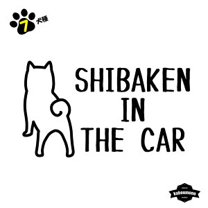 y7zDOG IN THE CAR @ybg@XebJ[@@V[@ؕ@@킢@@ԁ@KX@@JX^