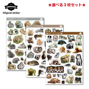   DOG ˂ L CAT  rbg RABBIT Lbg V[ Zbg XebJ[ D LD ObY hV[ hXebJ[   킢 [ X}z X}[gtH i