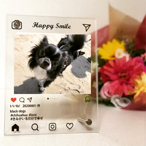 y5ȏゲwpy[Wz@SNStHgt[@ʐ^ā@LO@a@ʐ^@IWi@v[g@AN