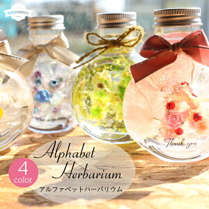 At@xbg n[oE yS4Fz CjV {g ~j{g Herbarium n[o[E{g G n[o[ 킢   CeA ^ ̓ 蕨 v[